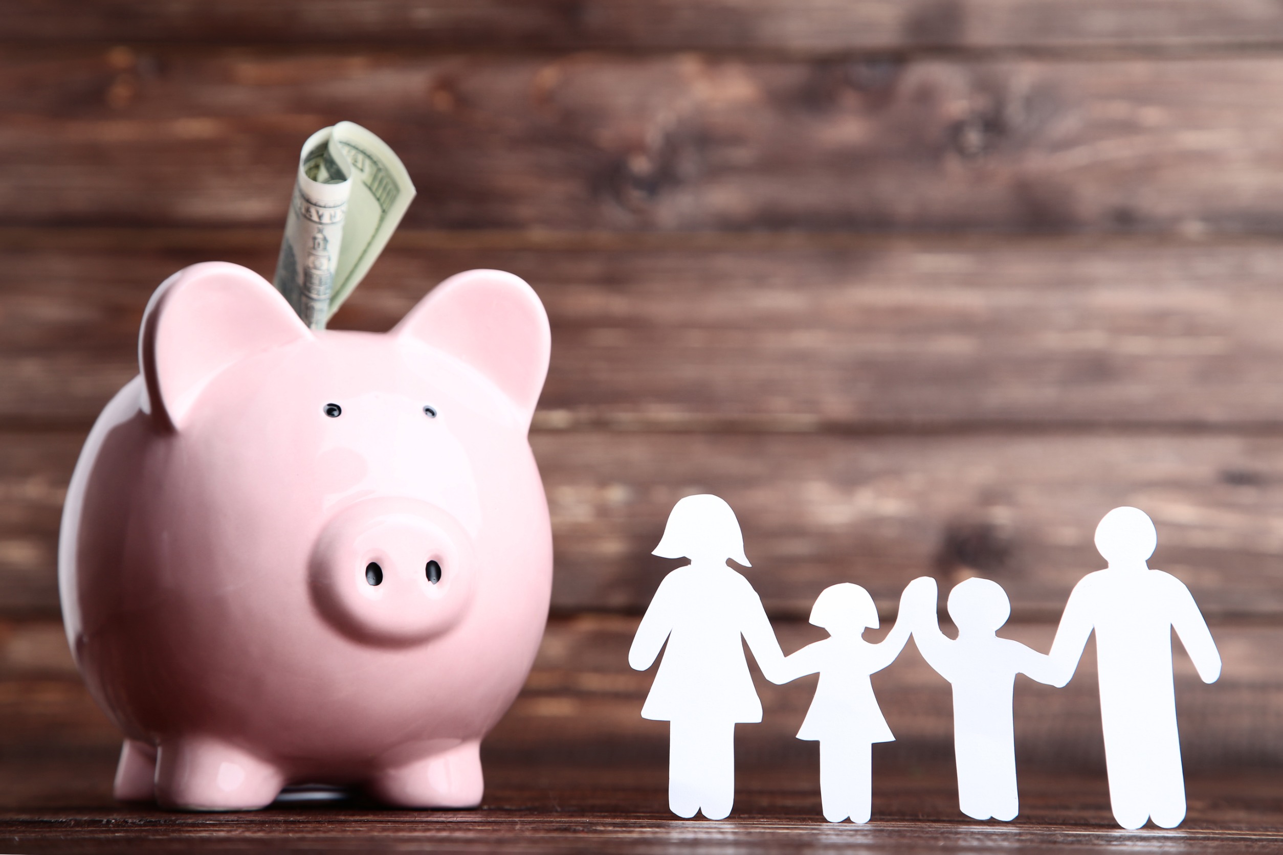 Financial Literacy and Family Security Why Every Household Needs It